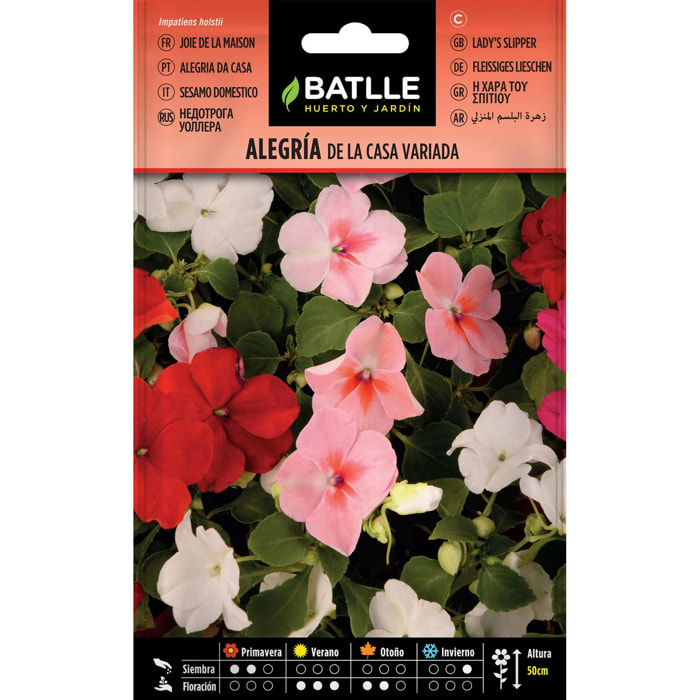 Semillas de Alegría de la casa variada Batlle