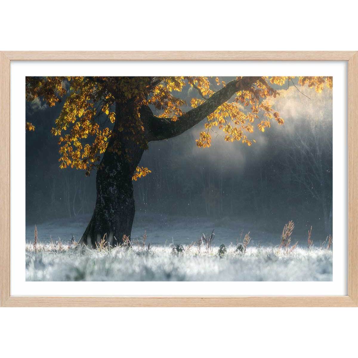 Affiche paysage Souffle d'hiver Affiche + cadre en bois - Chêne
