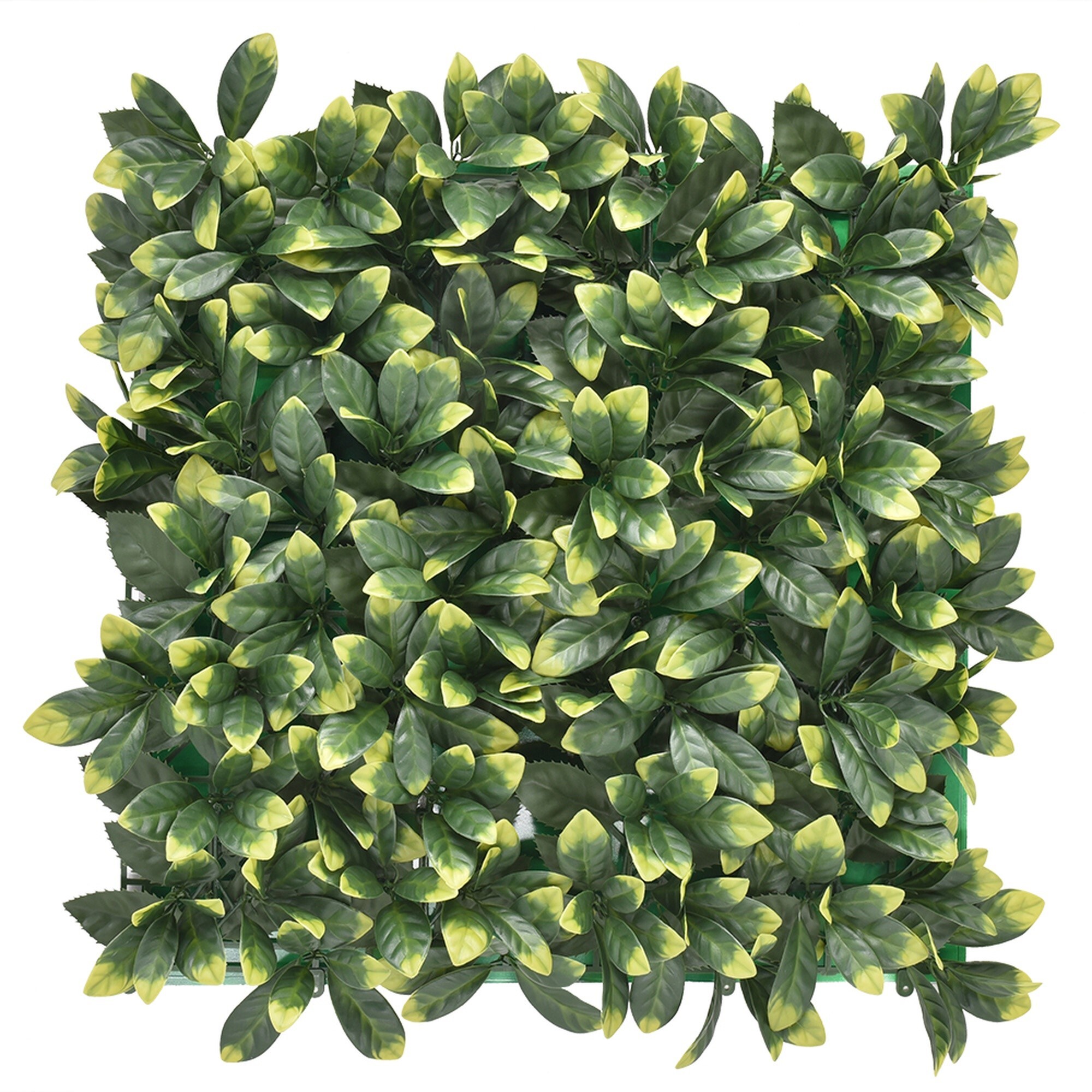 Jardin vertical laurel pack 4 piezas 50x50cm