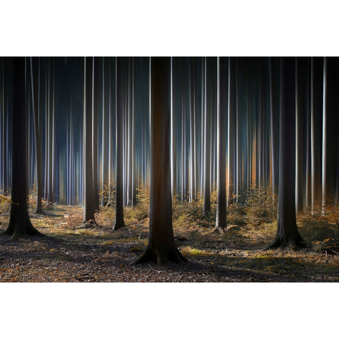 Tableau forêt fantastique Tableau plexiglas