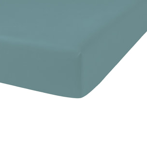 Drap Housse Coton 57fils Uni - Bonnet 35cm Lagon