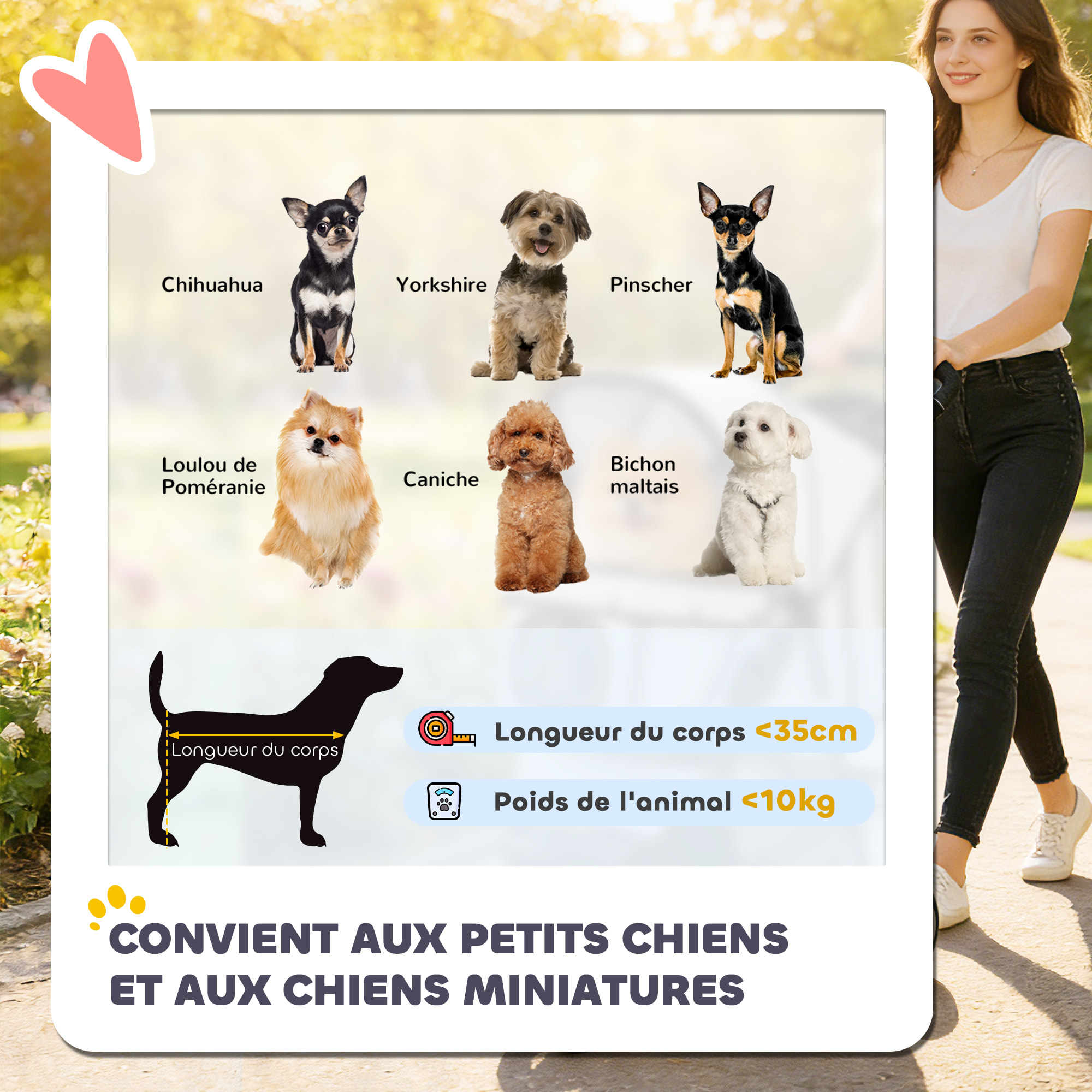 Poussette buggy pour chien chat animaux roue avant pivotante 360 degrés gris