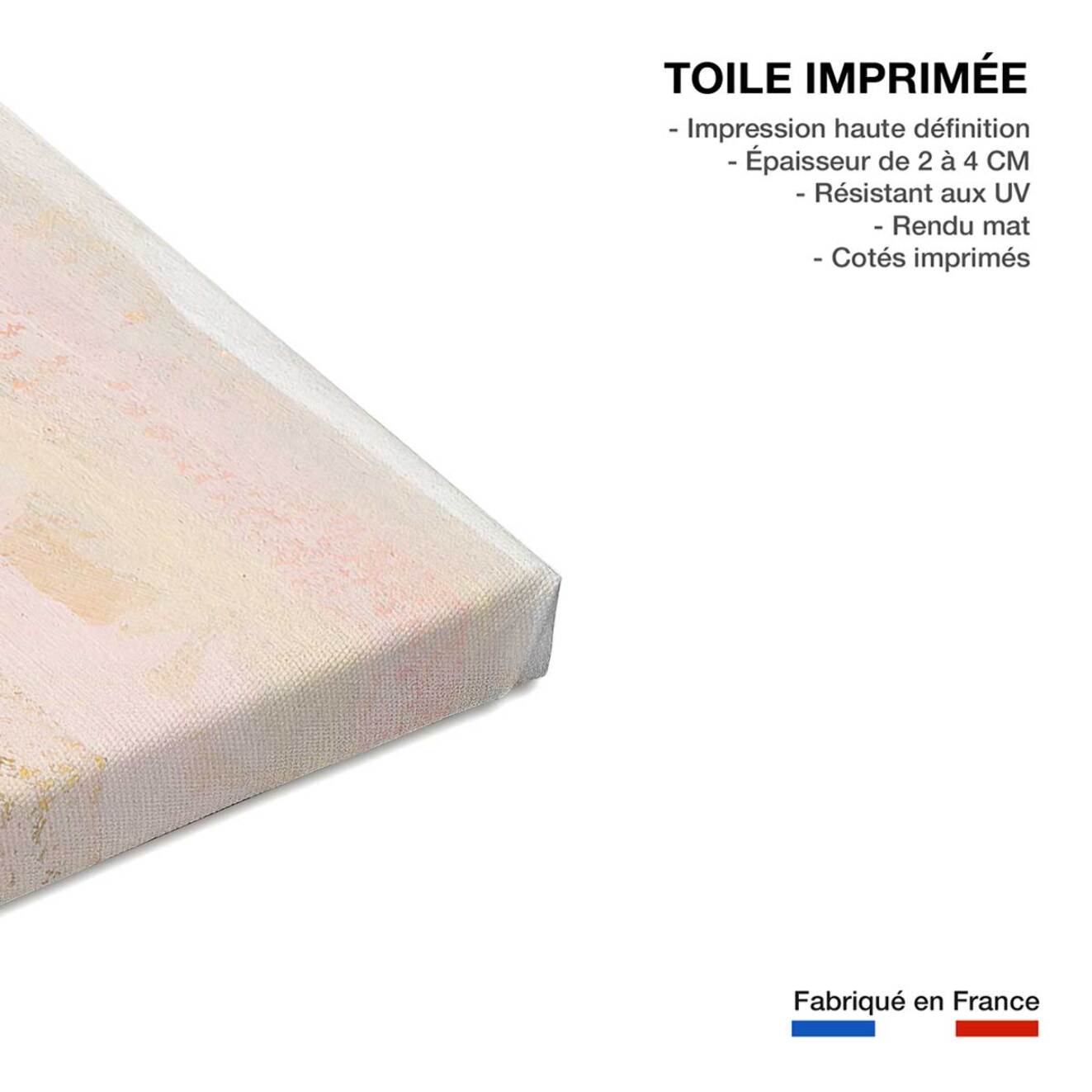 Tableau plante graminées des prairies  Toile imprimée