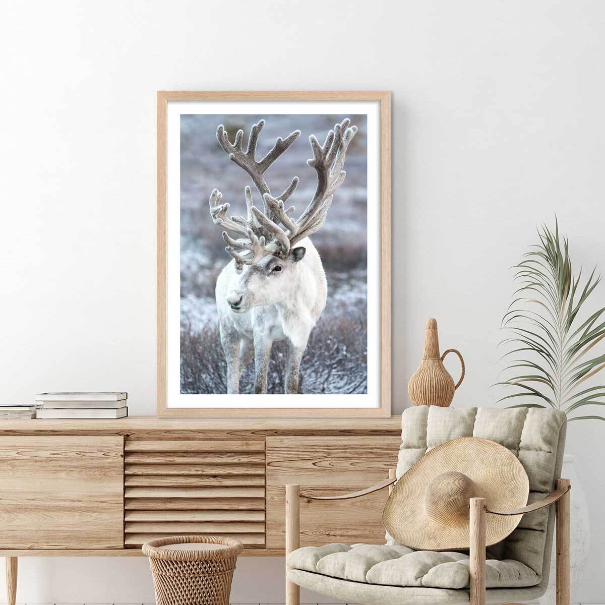 Affiche enfant parrot blanc  Affiche sous cadre bois