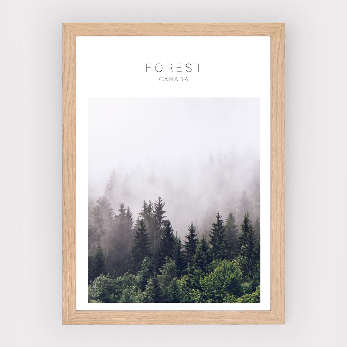 Poster Forest Canada