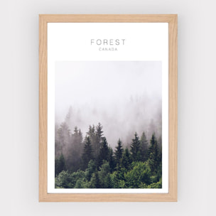 Poster Forest Canada