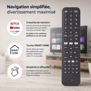 Télécommande ESSENTIELB pour TV Samsung
