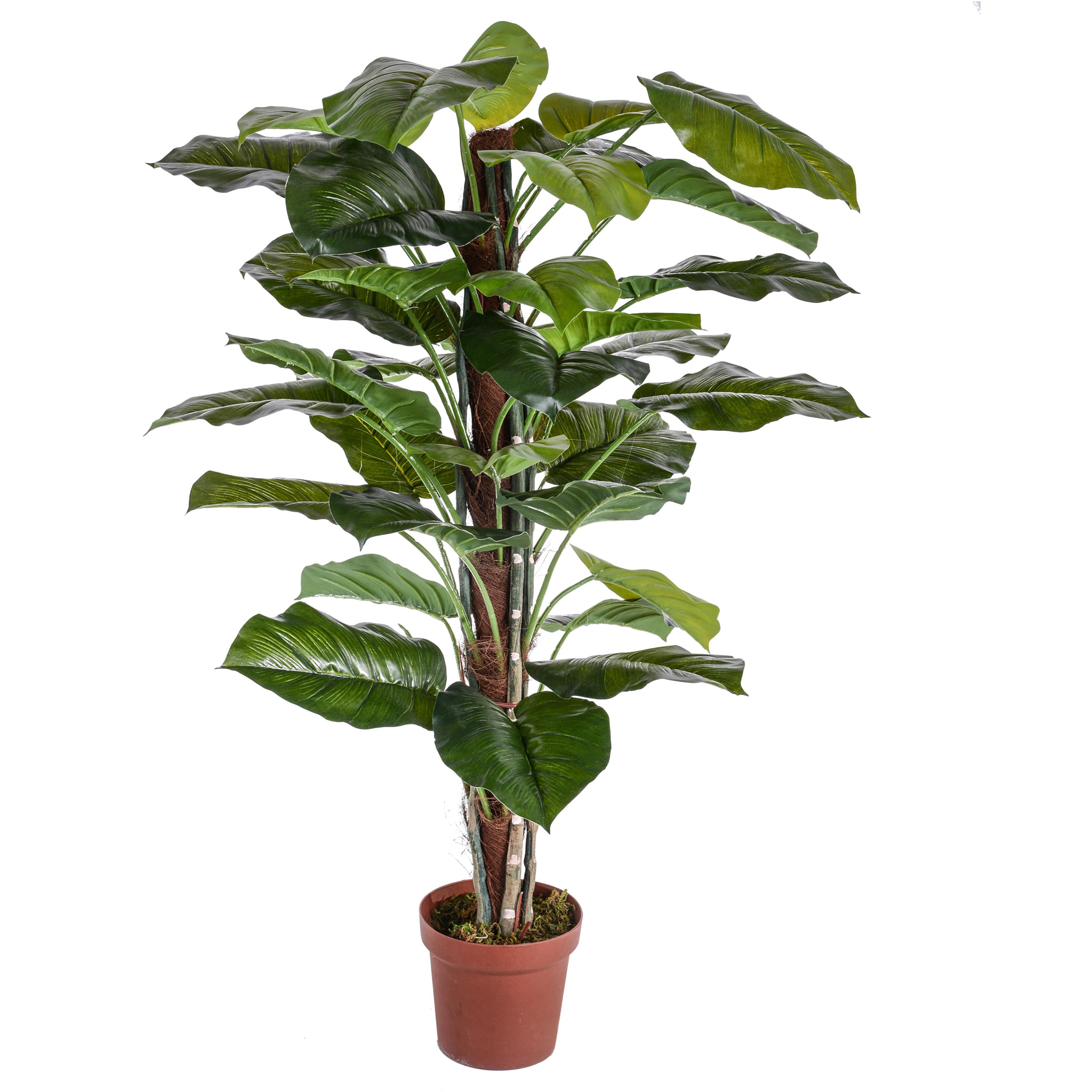 Pothos con Tutore e vaso - Pezzi 1 - 80X125X80 - Colore: Verde - Bianchi Dino - Piante Artificiali