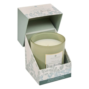 Bougie parfumée "Mael" - eucalyptus 190g