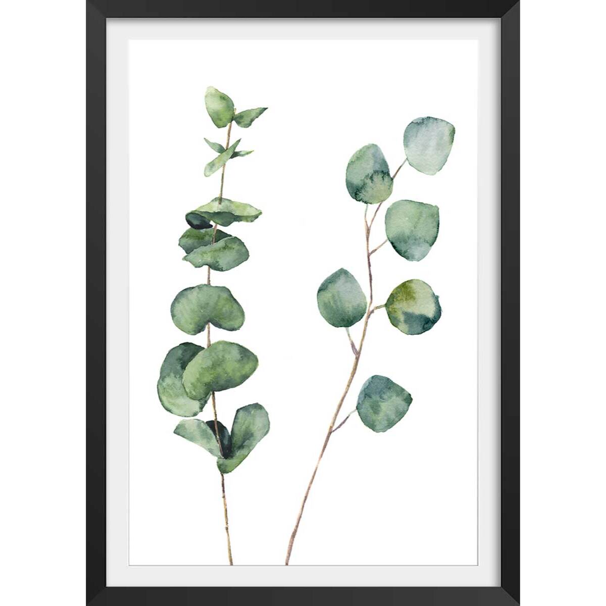 Affiche nature aquarelle feuille d' eucalyptus Affiche + cadre en bois - Noir