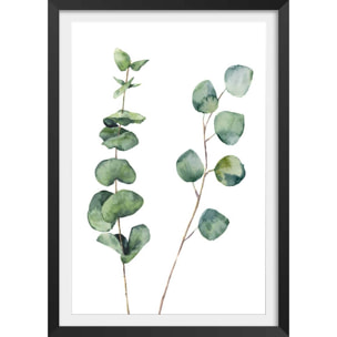 Affiche nature aquarelle feuille d' eucalyptus Affiche + cadre en bois - Noir