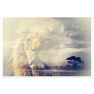 Affiche animaux lion and mount kilimanjaro Affiche seule