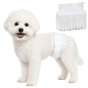 Pañales Desechables para Perros Machos, 48 Unidades, Súper Absorbentes, Antifugas, Pañales Sanitarios para Cachorros, Talla M, 45-64 cm de Cintura