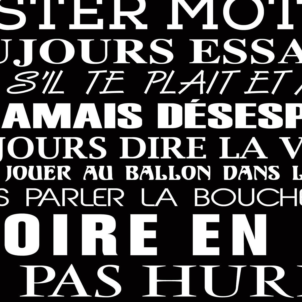 Affiche encadrée Les règles de la maison typographie décorative Affiche + cadre en métal - Noir