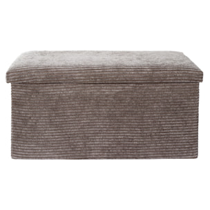 Coffre Banc Pliable Cotele Scott Taupe