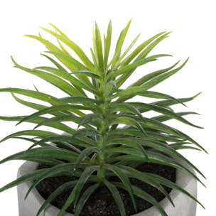 Plante grasse artificielle - pot en ciment - H14 cm