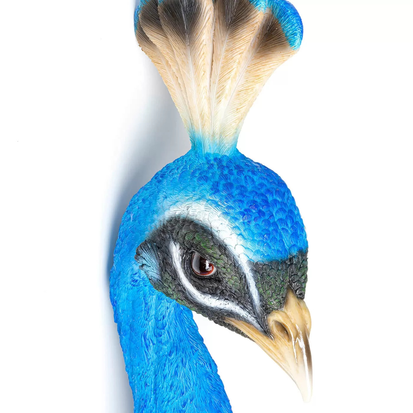 Déco murale Paon bleu Kare Design