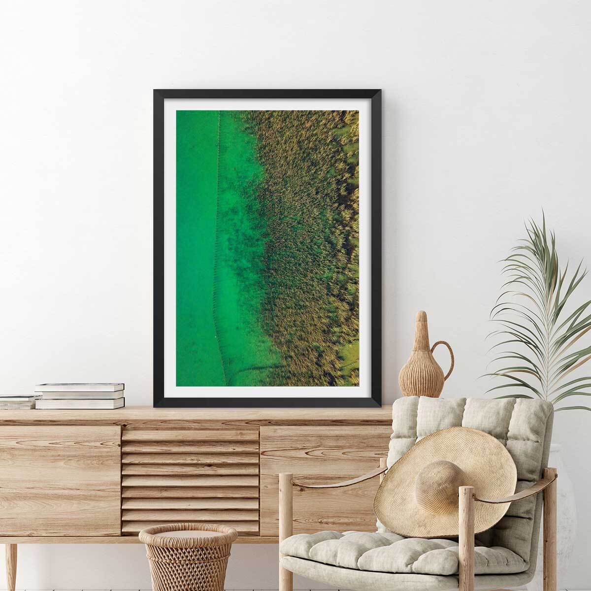 Affiche végétaux et flore aquatique Affiche + cadre en bois - Noir