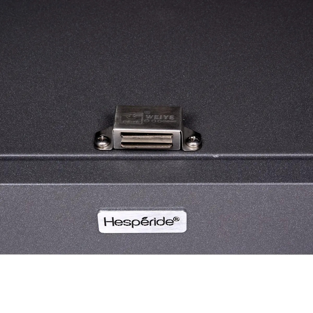 Module 2 portes pour cuisine d'été Oxyana gris graphite