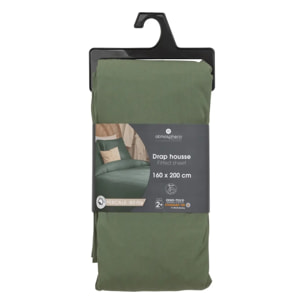 Drap-housse - percale - vert - 160x200 cm