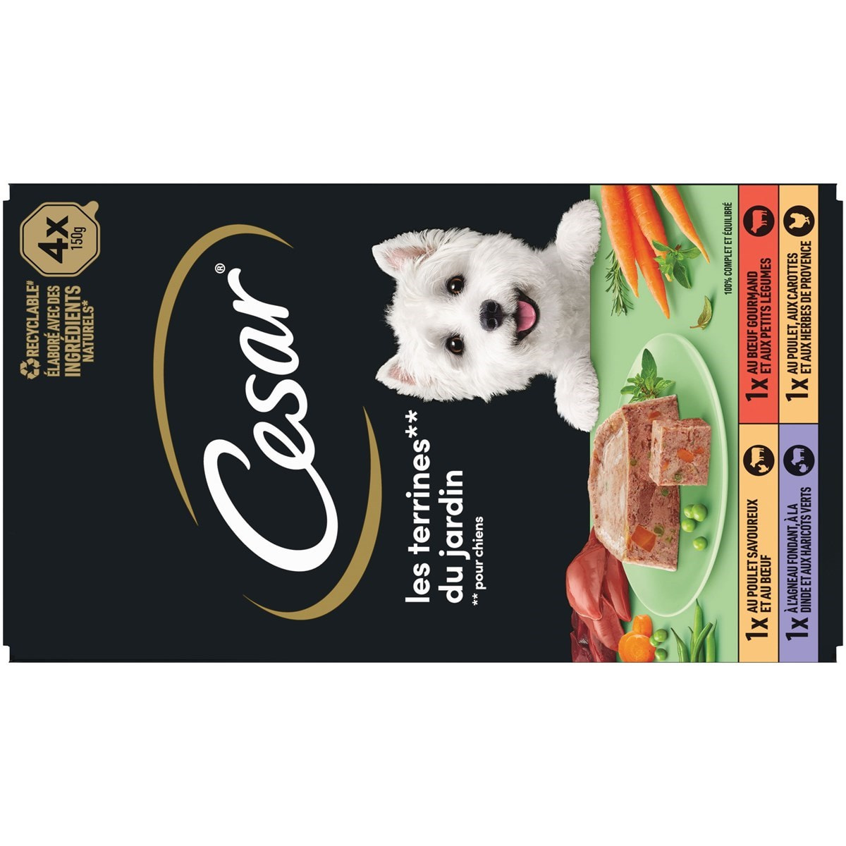 CESAR 24 Barquettes en terrine 4 variétés pour chien 150g (6x4)