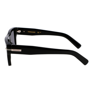 Gafas de sol Ferragamo Hombre SF2033S-1