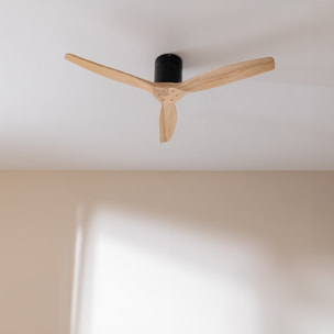 Cecotec Ventilateur de plafond sans lampe EnergySilence Aero 5500 Aqua Black&Lig