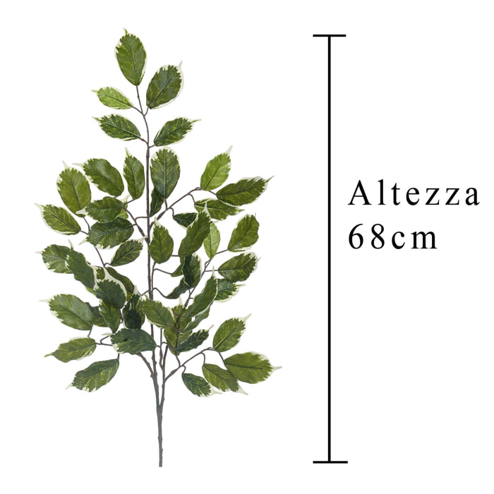 Ramo Di Ficus Con 42 Foglie. Altezza 60 Cm - Pezzi 12 - 29X60X3cm - Colore: Verde - Bianchi Dino - Piante Artificiali