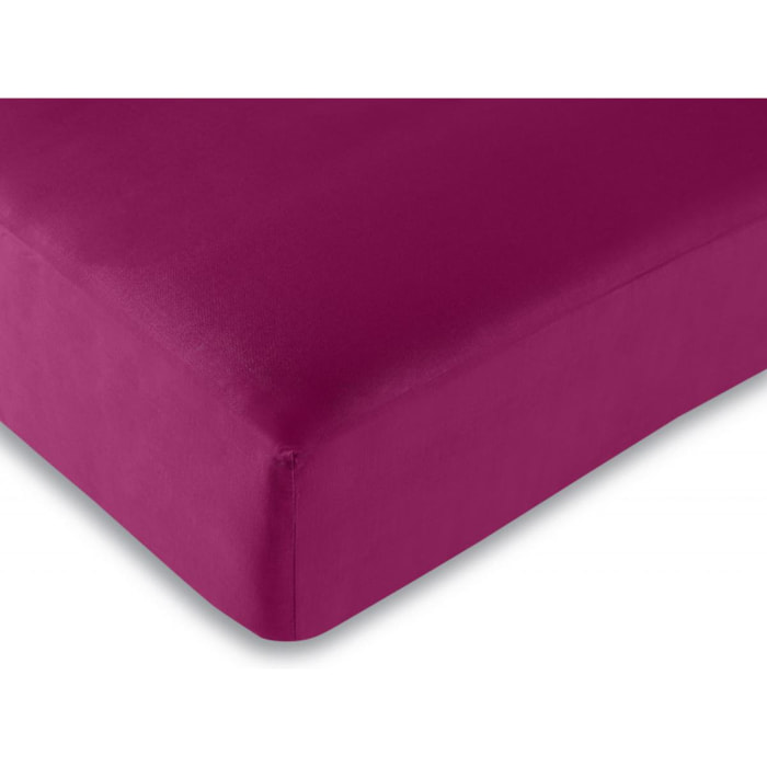 Drap housse Fushia / 100% coton / 57 fils/cm²