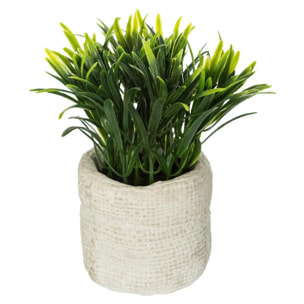 Plante artificielle - pot en ciment - H14 cm