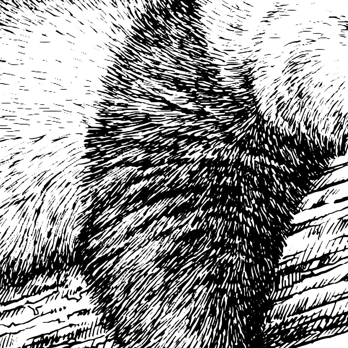 Affiche enfant repos du guerrier Affiche + cadre en bois - Noir