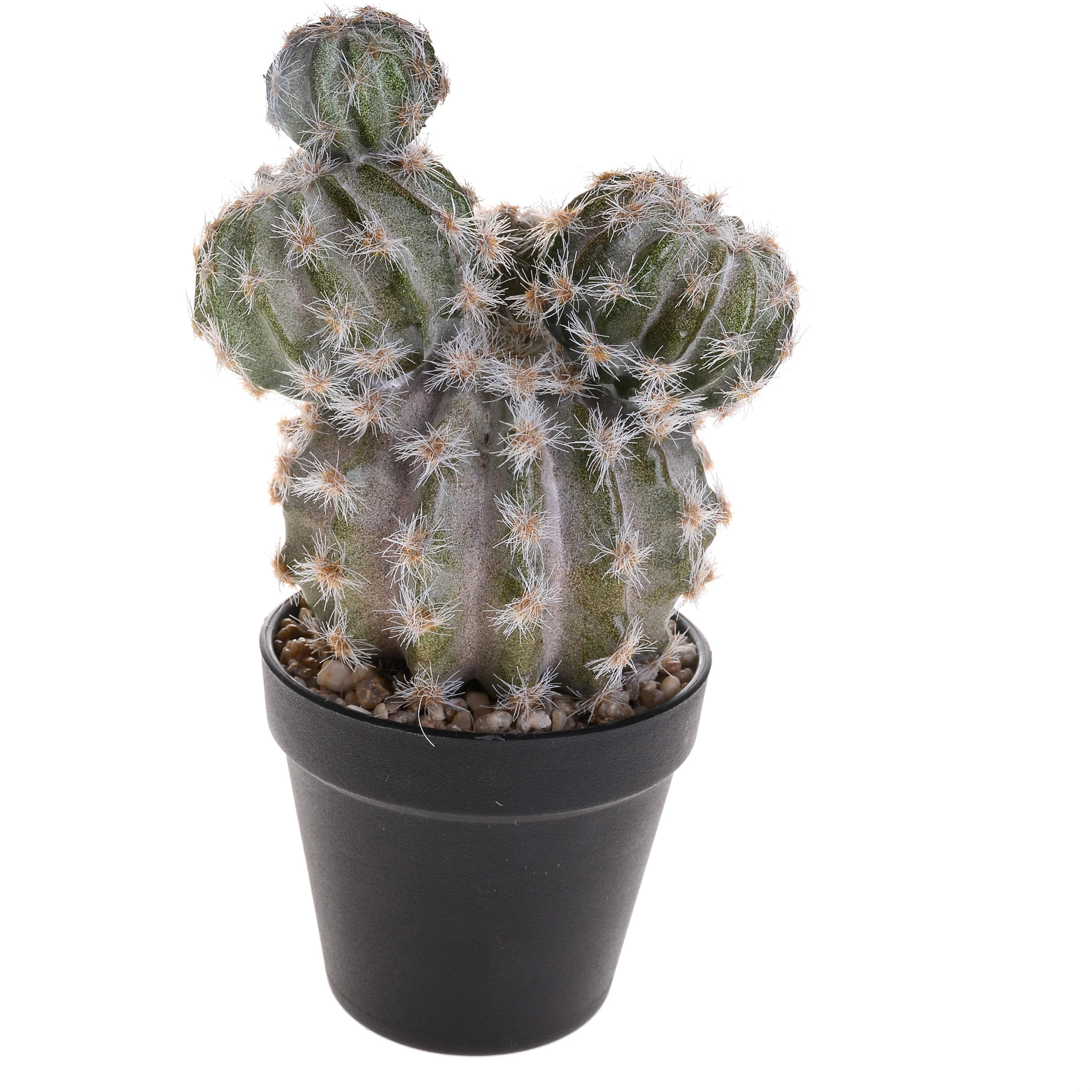 Cactus Con Vaso. Altezza 28 Cm - Pezzi 1 - 16X28X16cm - Colore: Altro - Bianchi Dino - Piante Artificiali