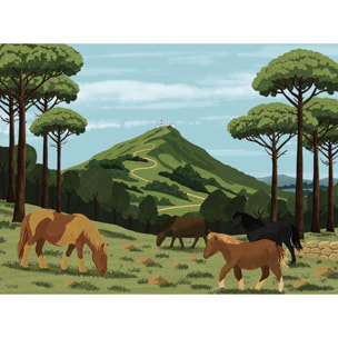 Papier peint panoramique Rhune et pottock illustrés  Intissé