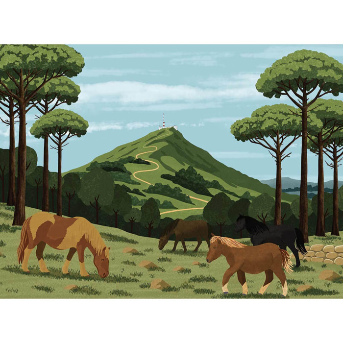 Papier peint panoramique Rhune et pottock illustrés  Intissé