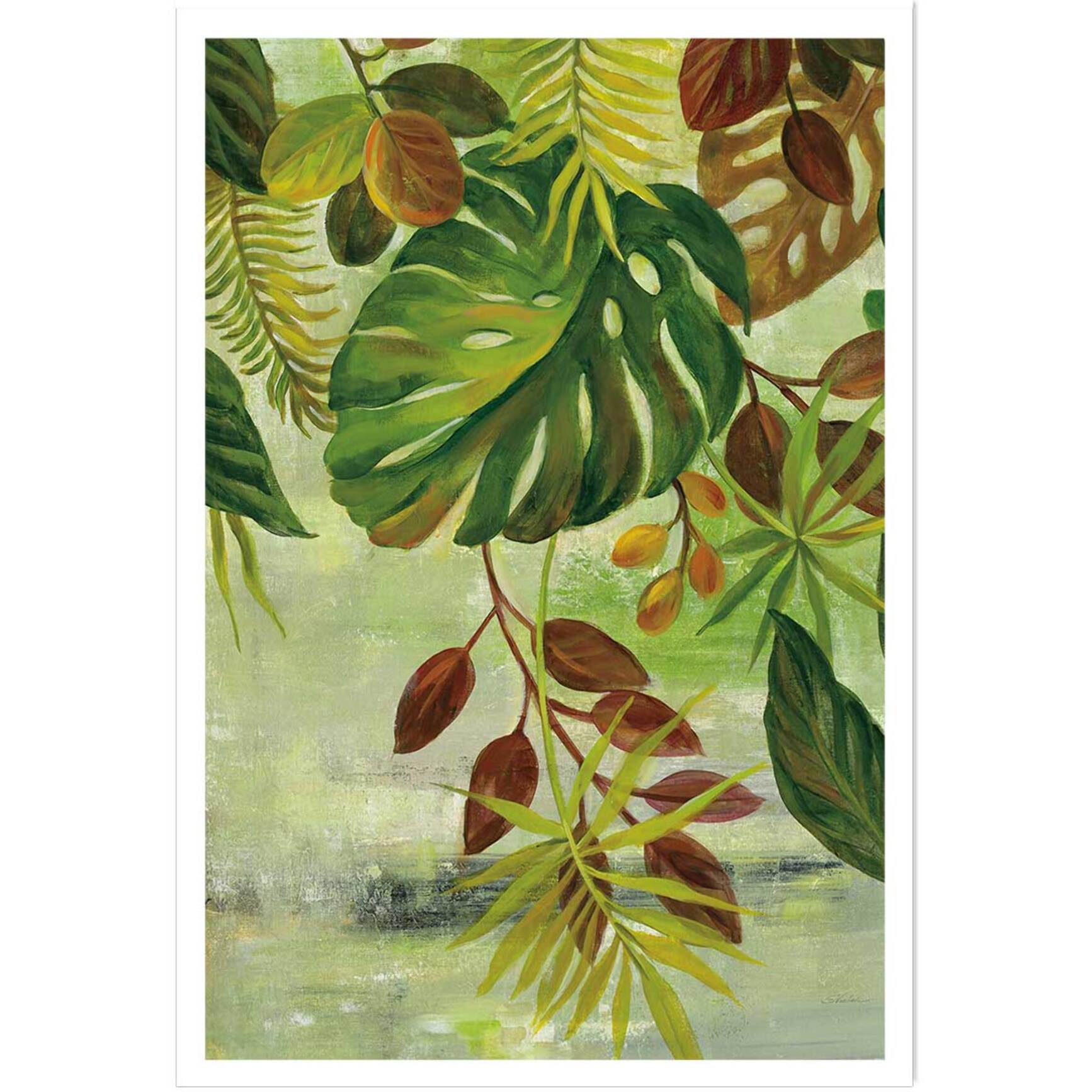 Poster Feuillage tropical Affiche seule