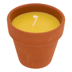 Lot de 6 bougies 39g Terry parfumées à la citronnelle pot en terre cuite