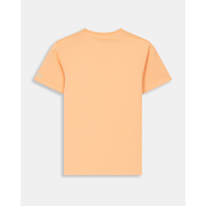 CAMISETA ICON COLORS