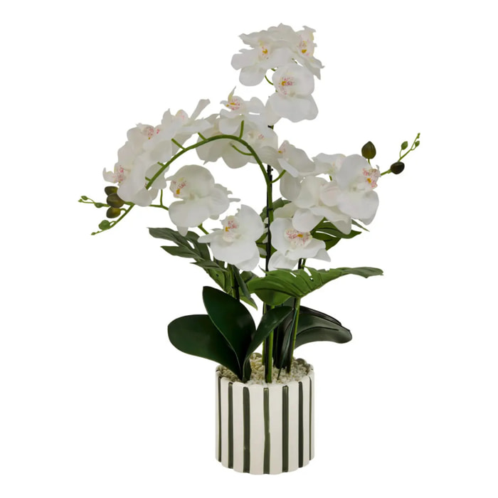 Fleur Artificielle Asia Orchidée H81 cm Pot en Grès Vert