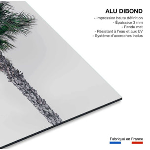 Tableau coconut palm Tableau alu Dibond