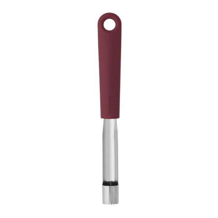 Vide pomme BRABANTIA Aubergine Red