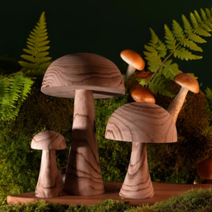 Fungo - Pezzi 1 - 37,5xH60,5x37,5cm - Bianchi Dino SpA