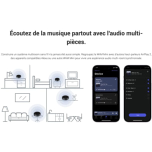 Lecteur réseau HiFi WIIM Mini