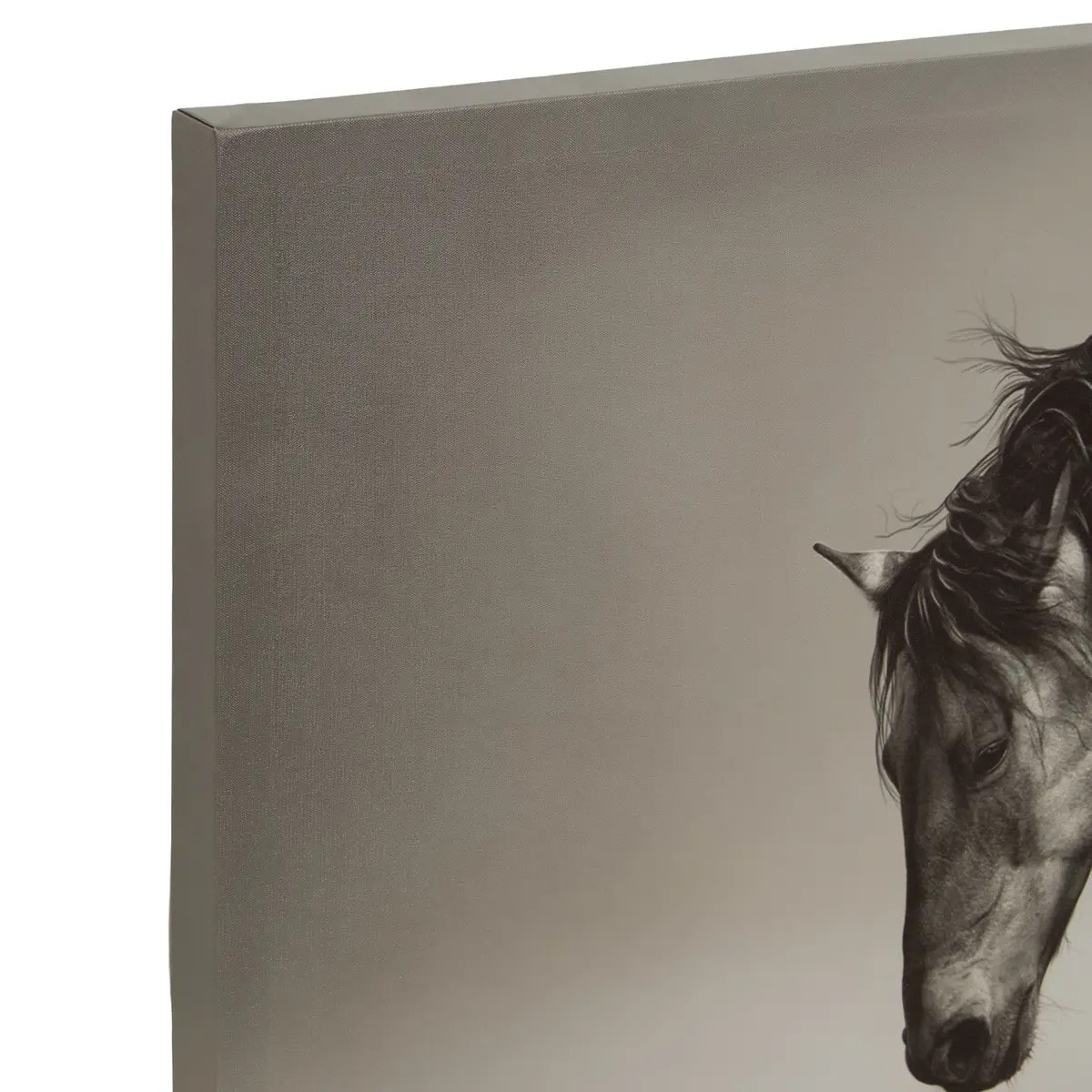 Toile encadrée "Animaux" 75x115cm