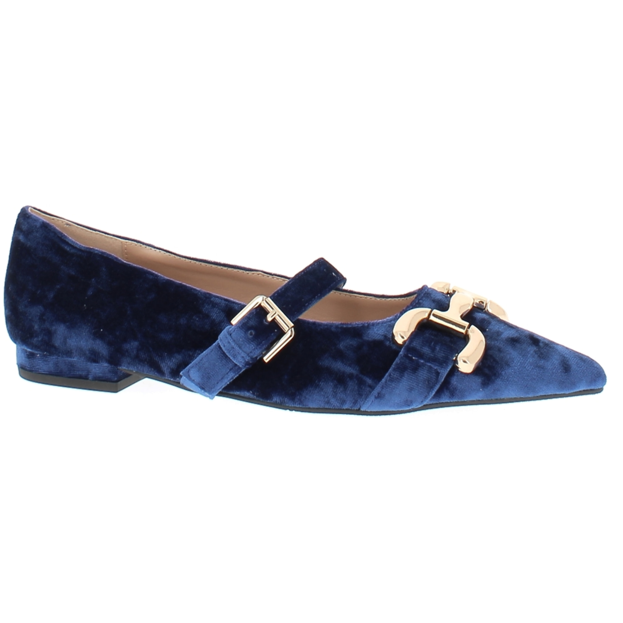 Marina Galanti Scarpe Donna Velvet Ballet Flat with Gold Horsebit MG W24A039 Blue