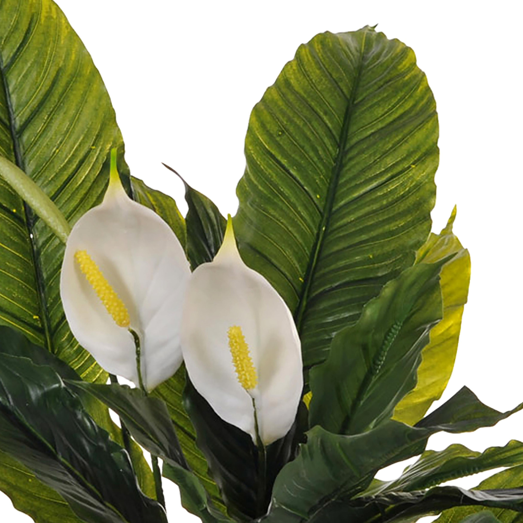 Spathipilium Con Vaso. Altezza 65 Cm - Pezzi 1 - 64X65X64cm - Colore: Verde - Bianchi Dino - Piante Artificiali