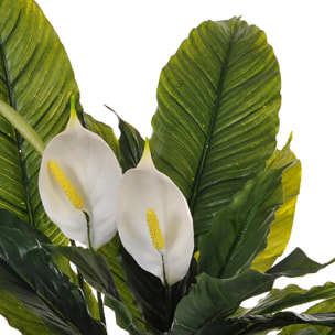 Spathipilium Con Vaso. Altezza 65 Cm - Pezzi 1 - 64X65X64cm - Colore: Verde - Bianchi Dino - Piante Artificiali