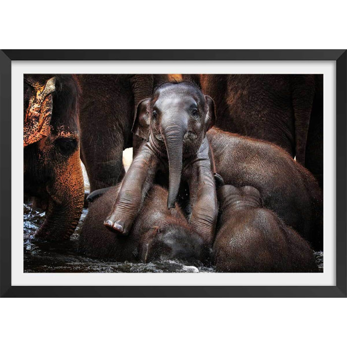 Affiche éléphant petit prince... Affiche + cadre en bois - Noir