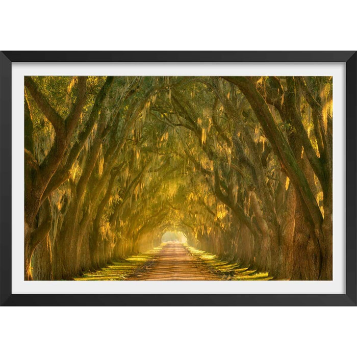 Affiche ""Allee enchanteresse"" Affiche + cadre en bois - Noir