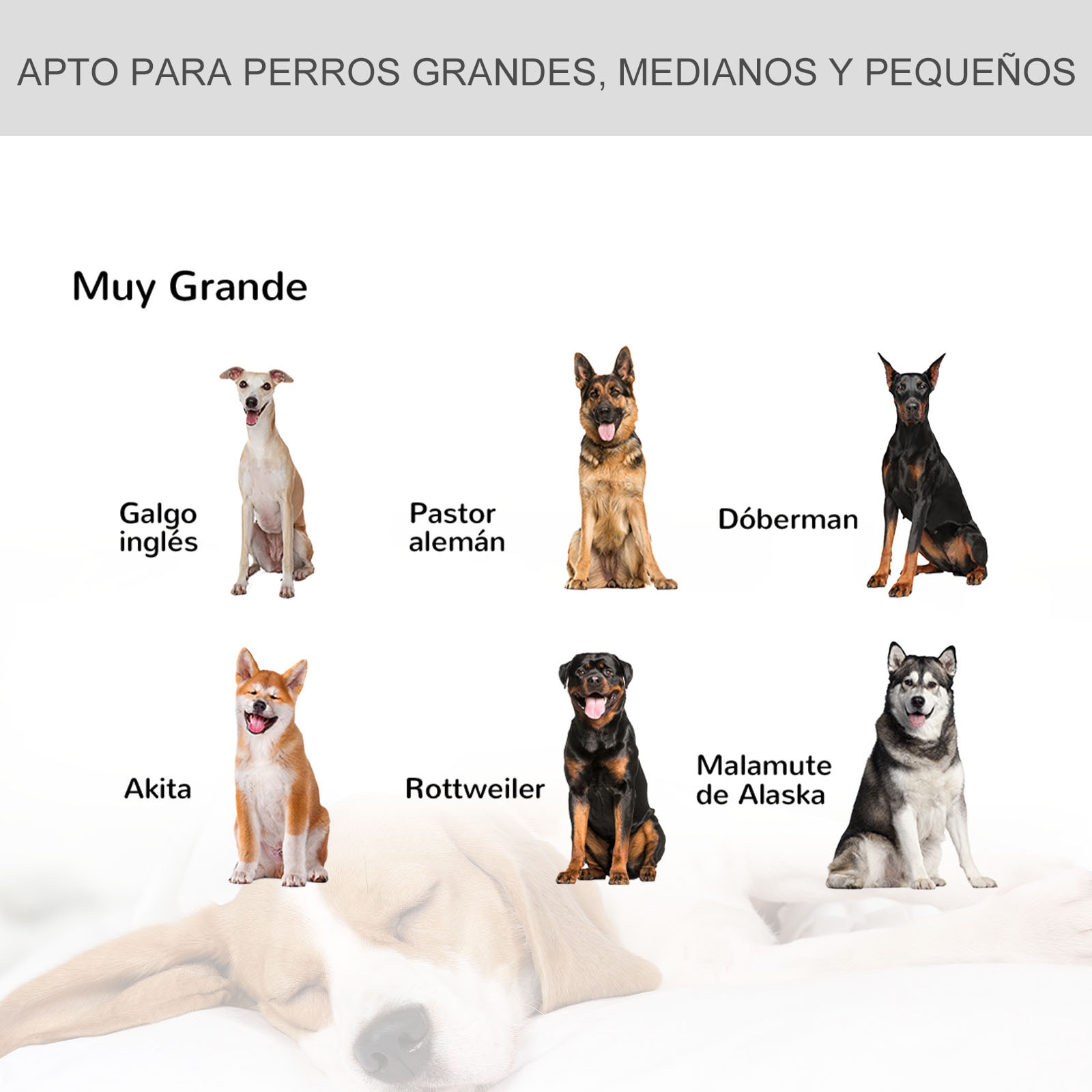 Jaula de Metal para Perros Plegable con Ruedas Bandeja Extraíble 125x76x81 cm