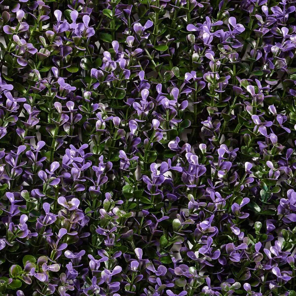 Rollo Jardin Vertical Vinca 100 X 100 Cm